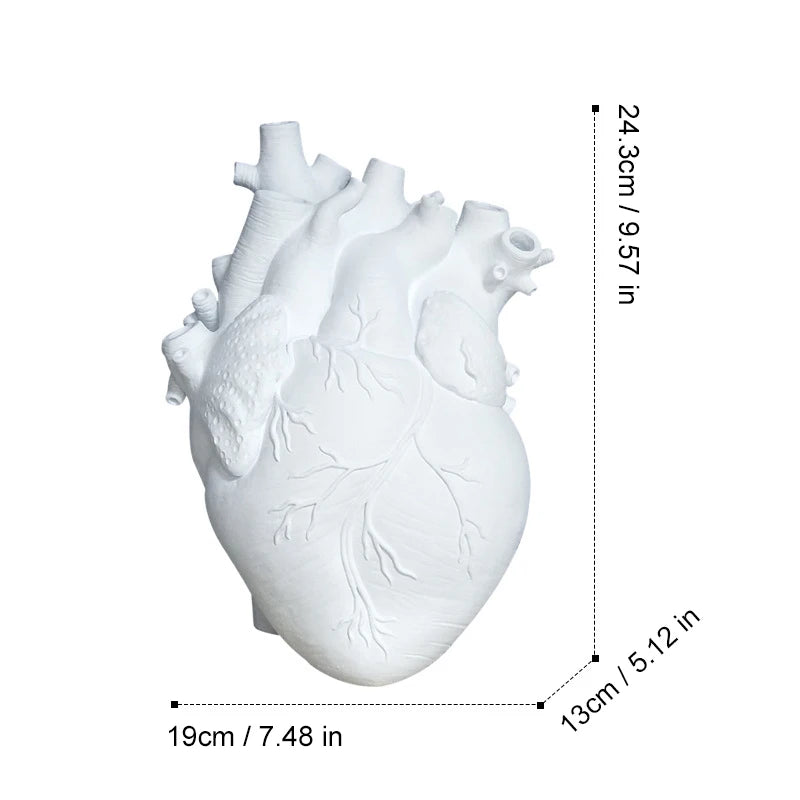 Artistic anatomical heart vase gift idea for home decoration.